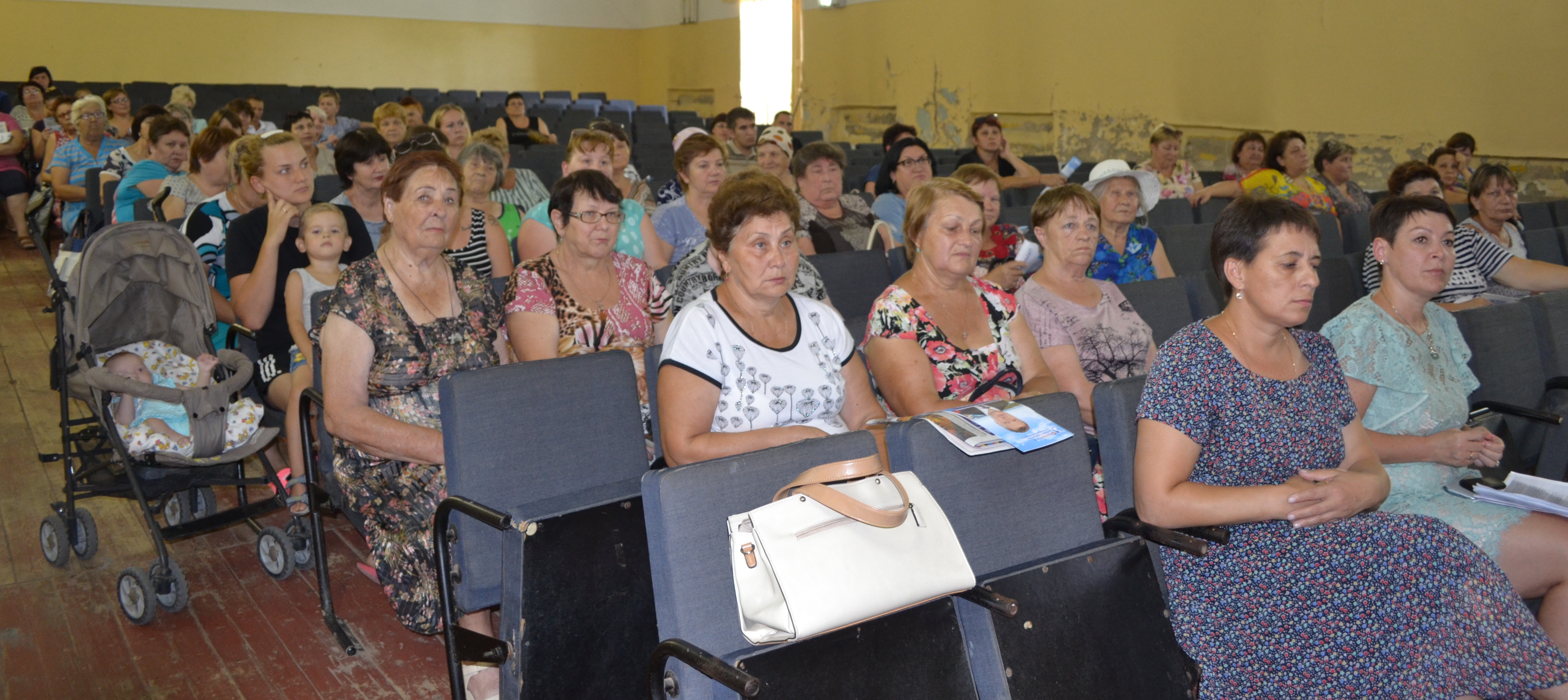 Сельский сход